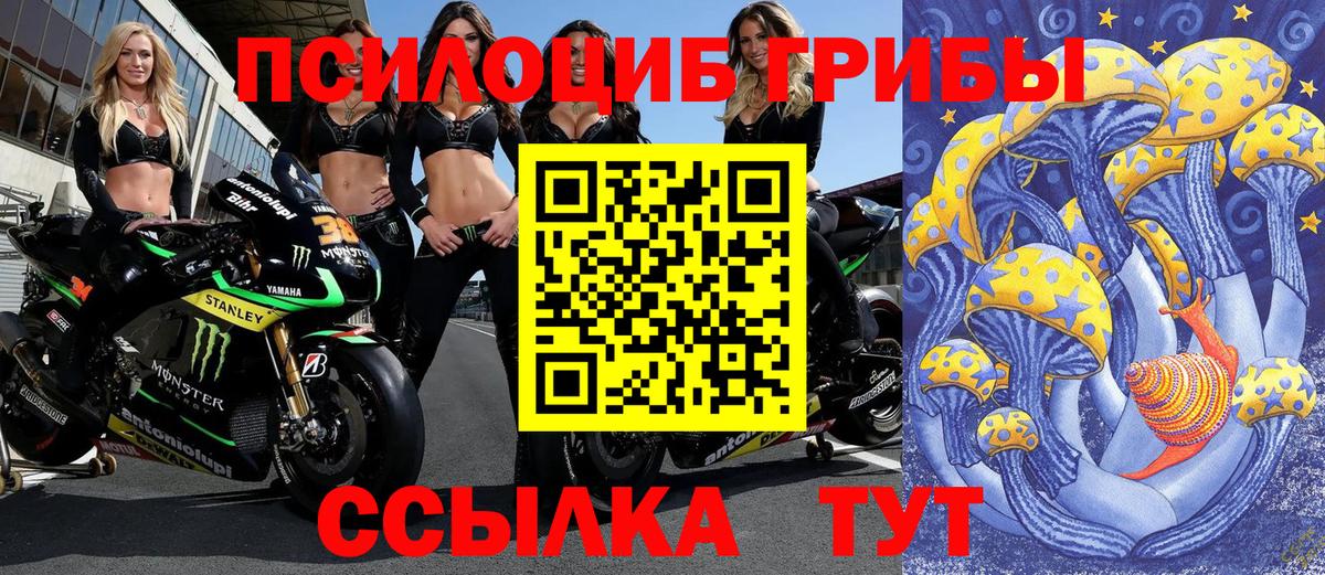 Псилоцибиновые грибы мухоморы Калач-на-Дону