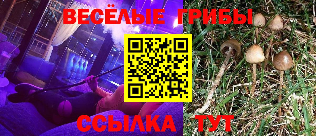 Псилоцибиновые грибы MAGIC MUSHROOMS  Вход с VPN  Псилоцибиновые грибы мицелий  Калач-на-Дону 